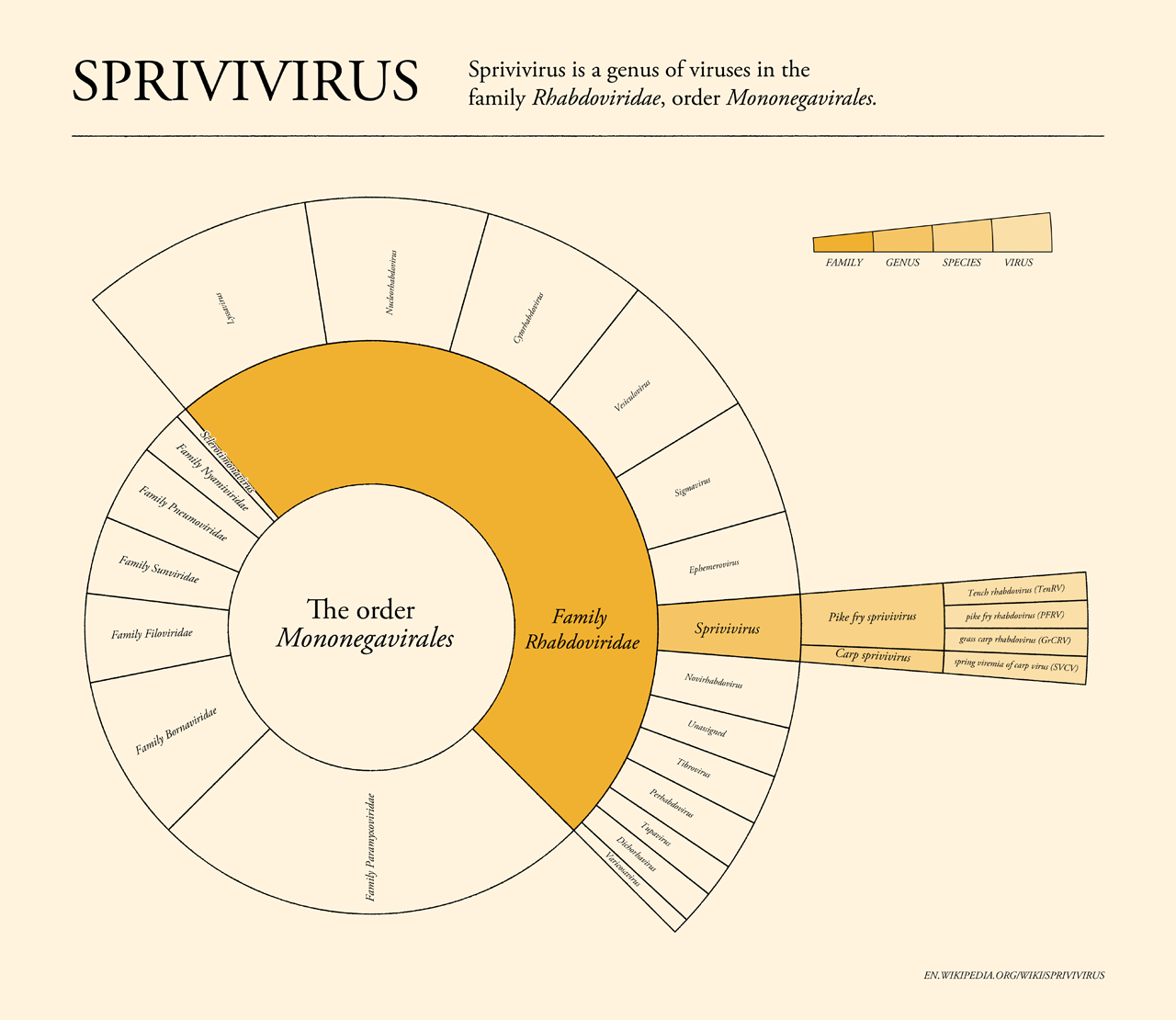 Spirivirus